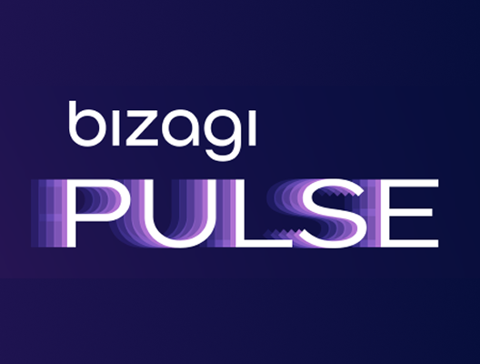 Bizagi-The Digital Business Platform